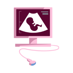 ultrasound